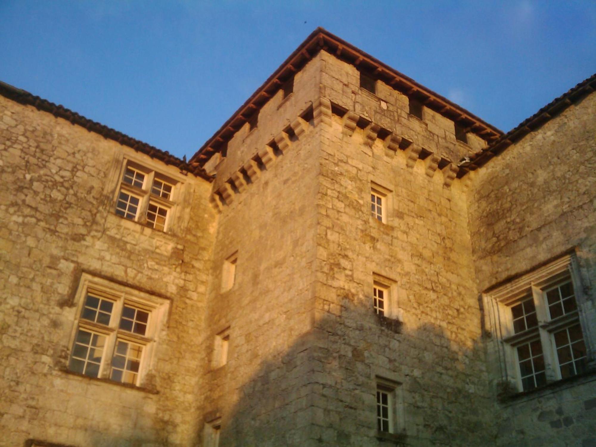 Chateau De Fources Экстерьер фото